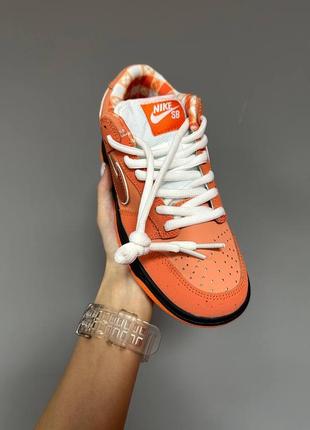 Женские кроссовки nike sb dunk « orange lobster”premium#найк2 фото