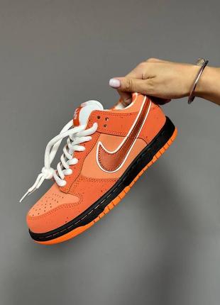 Женские кроссовки nike sb dunk « orange lobster”premium#найк5 фото