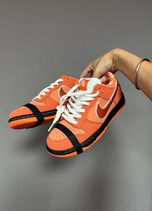 Женские кроссовки nike sb dunk « orange lobster”premium#найк7 фото