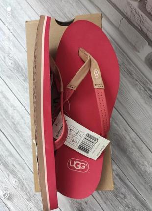 Шльопанці ugg 7us 24 см.5 фото