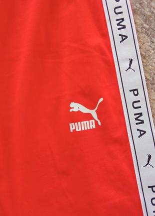 Женские ласины, puma5 фото