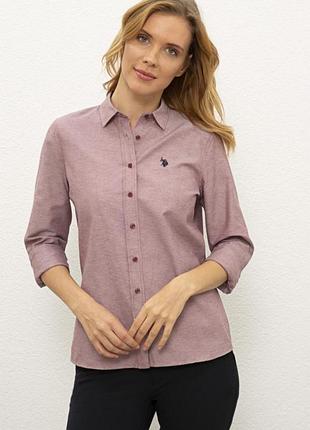 Us polo assn жіноча сорочка