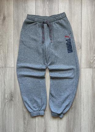 Спортивные штаны Night puma