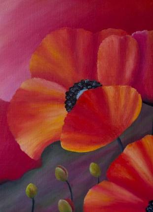 Маки. картина маслом на холсте