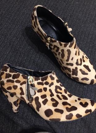 Topshop леопардовые ботильоны кожаные 23.5-24 см