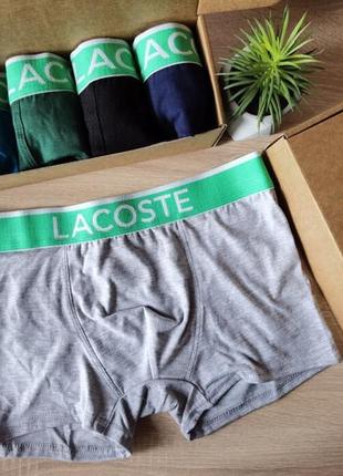 Трусы lacoste modal, трусы литнй вариант из модала лакоста