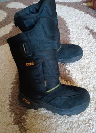 Ботинки экко