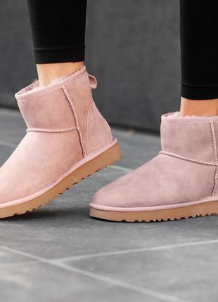 Зимові жіночі замшеві рожеві угі/уггі/чоботи з хутром, ugg classic pink