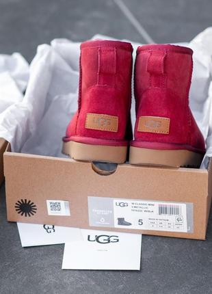 🌹ugg classic vine red🌹зимние женские замшевые красные уги/угги/сапоги с мехом, жіночі угі5 фото