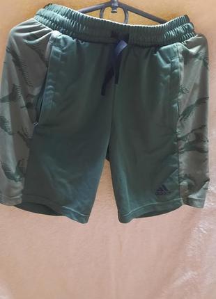 Шорти