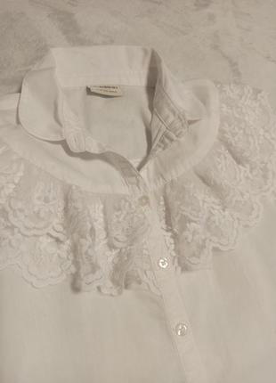 Блуза белая, рубашка школьная