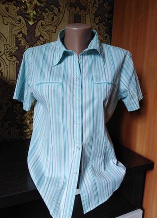 Женская блузка