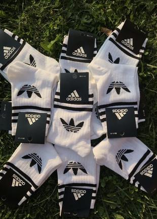 🔥високі шкарпетки adidas білі🔥