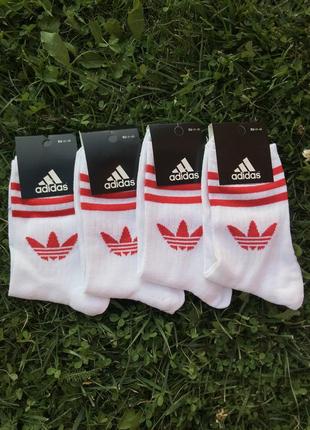 🔥високі шкарпетки adidas🔥