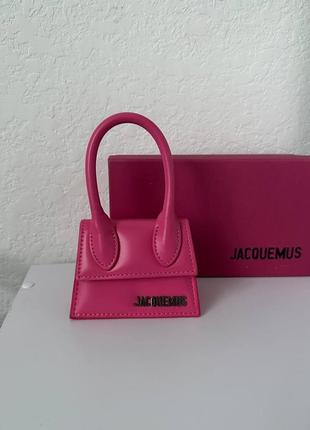 Женская сумка jacquemus le chiquito