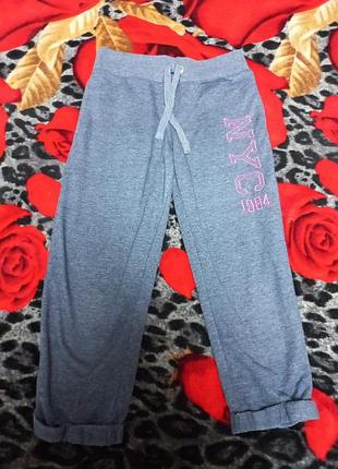 Продам бріджи 42-44