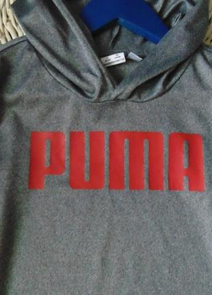 Суперовый реглан с капюшоном puma4 фото