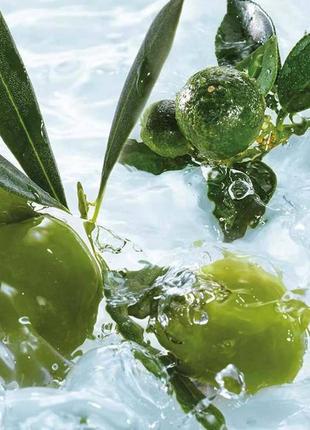 Yves rocher, спрей для тела и волос олива петитгрейн ив роше