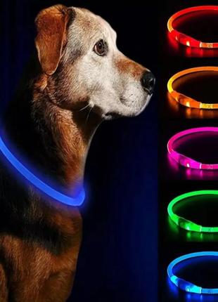 Ошейник светодиодный для собак | светящийся ошейник для животных2 фото