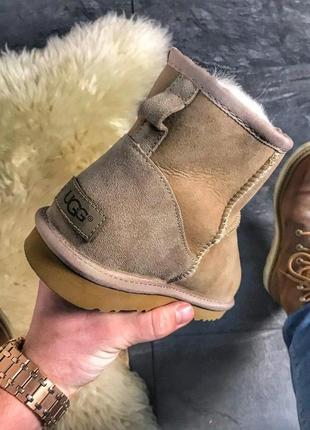 🌹ugg classic 2 mini light brown🌹зимние женские угги/уги, сапоги зима мехом, светлые6 фото