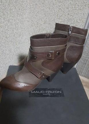 Півчобітки maud frizon