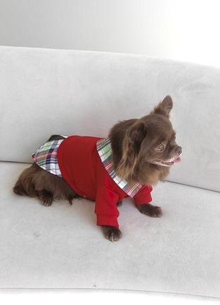 Толстовка для собак и котов на флисе унисекс