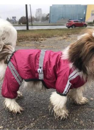 Ветровка, дождевик для собак, куртка доя собак