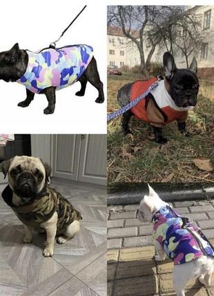 Желетка для собак, одяг для собак