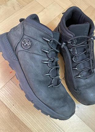 Демісезонні кросівки timberland