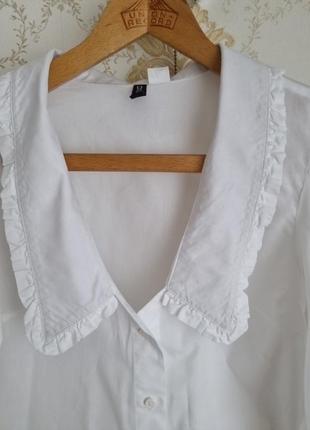 Блуза с большим воротником с оборками5 фото