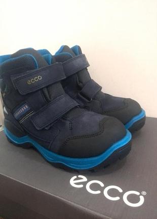 ecco 34