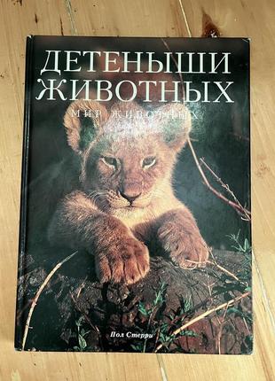 Книга о животных