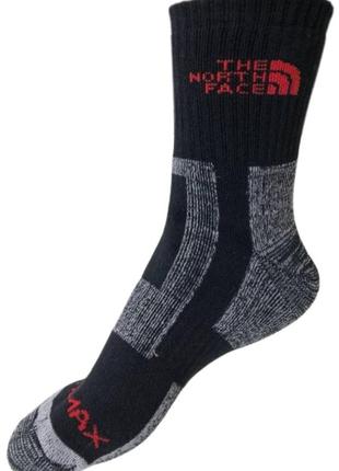 Шкарпетки трекінгові the north face® multisport жіночі розмір 36-40