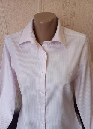Італія сорочка рожева блуза деловая рубашка женская по фигуре в полоску4 фото