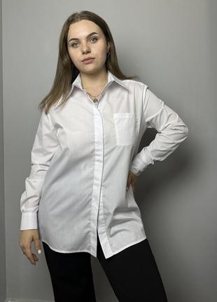 Блуза жіноча класична з довгим рукавом із котону біла modna kazka mkad7548-2
