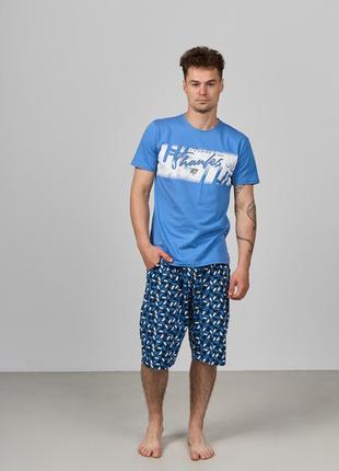 Мужская пижама с шортами синий 93343 размеры m, l, 2xl