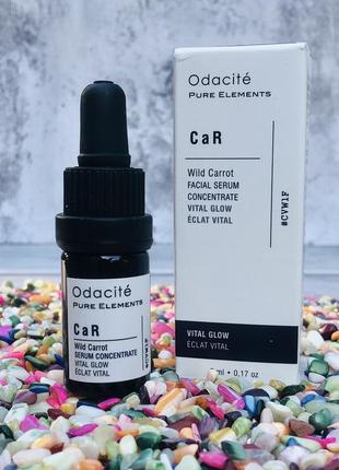 ✔️оригінал олія-концентрат для пружності та сяйва шкіри odacité car wild carrot serum concentrate vital glow 5 мл