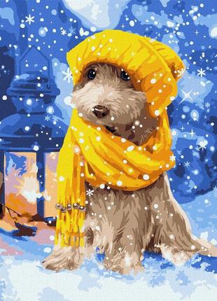 Картина за номерами пухнастий друг ідейка 30 х 40  kho4265