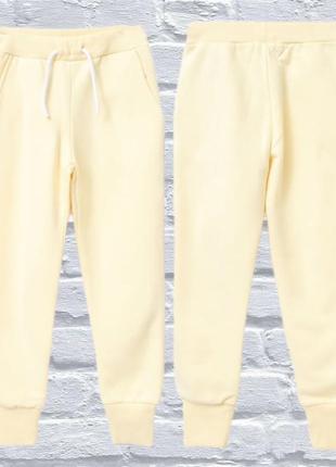 Теплые зимние штаны спортивные брюки1 фото