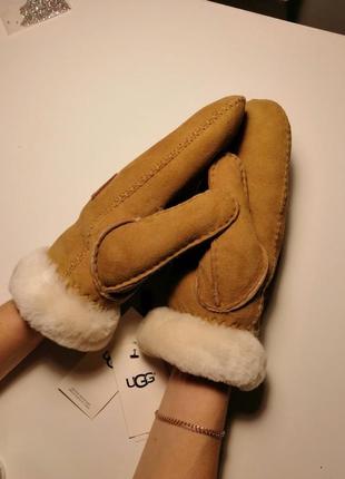 Жіночі рукавички рукавиці рукавиці ugg оригінал. київ5 фото
