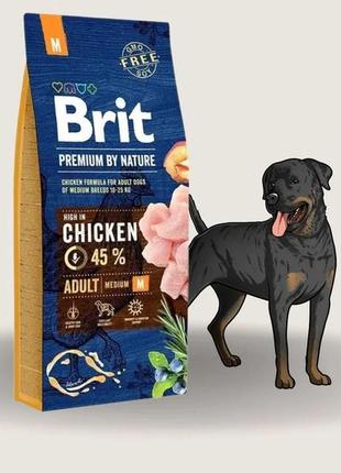 Brit premium adult м