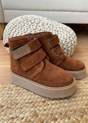 Серые, черные, рыжие, коричневые сноутсы на липучке