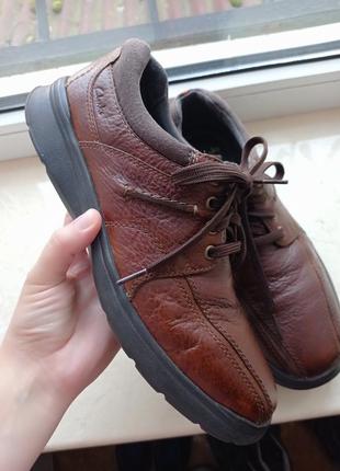 Кожаные кроссовки clarks