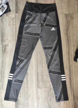 Лосіни adidas