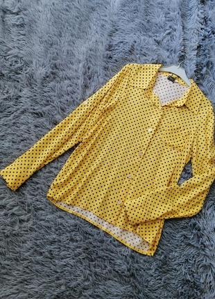 Бавовняна сорочка блуза в горох з натуральної стовідсоткової тканини штапель різні кольори та розмір6 фото