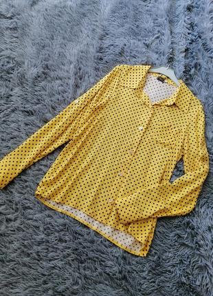 Хлопковая рубашка блуза в горох из натуральной стопроцентной ткани штапель разные цвета и размер7 фото