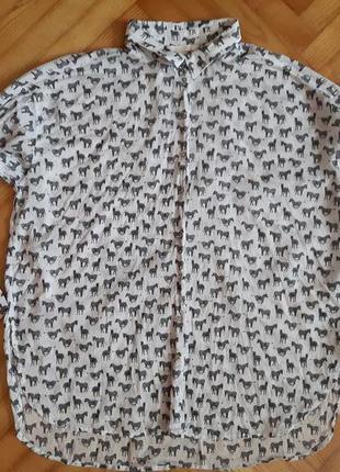 Батистовая блуза в "зебри" від h&m! p.-36