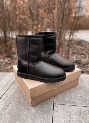 Угги  ugg