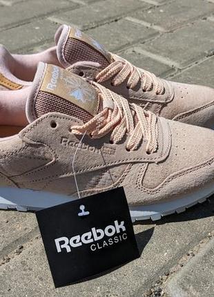 Кросівки reebok classic жіночі натуральна замша9 фото