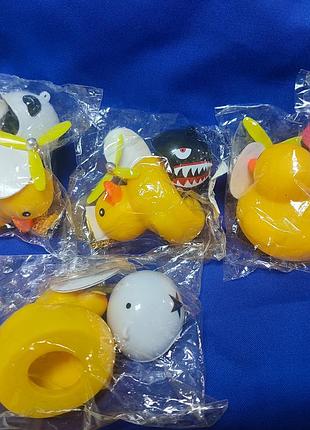 Каченя в машину 4